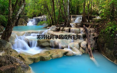 差异化竞争将成为主流