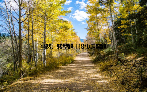 当然, 转型路上没少走弯路
