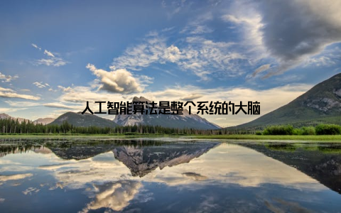 人工智能算法是整个系统的大脑