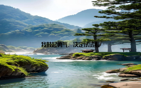 我鼓起勇气, 决定试试看