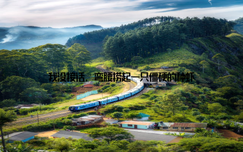 我没接话, 弯腰捞起一只僵硬的种虾