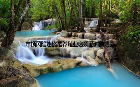 市场风险始终是养殖业必须面对的挑战
