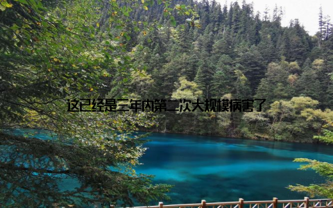 这已经是三年内第二次大规模病害了