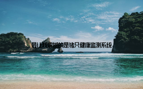 最让我震撼的是猪只健康监测系统