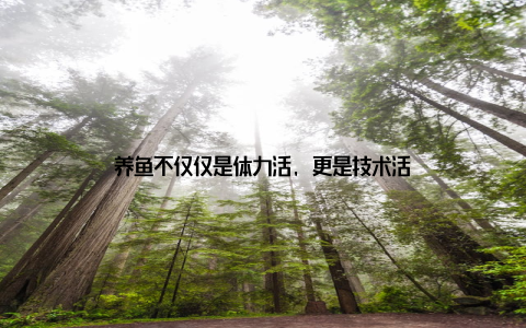 养鱼不仅仅是体力活, 更是技术活