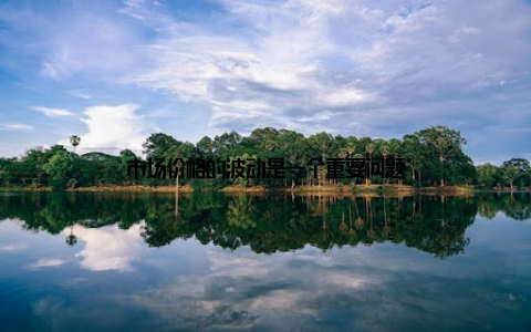 市场价格的波动是一个重要问题