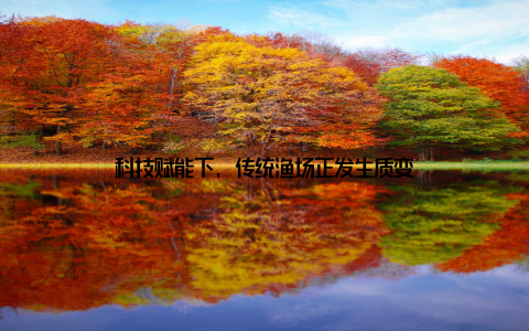 科技赋能下, 传统渔场正发生质变