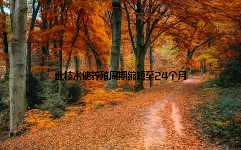 此技术使养殖周期缩短至24个月