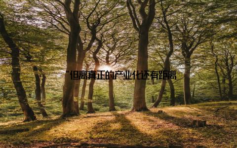 “但离真正的产业化还有距离