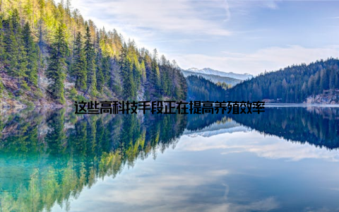 这些高科技手段正在提高养殖效率