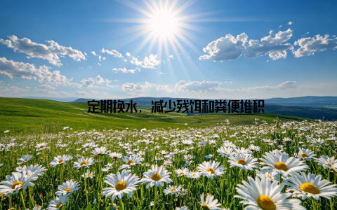 – 定期换水, 减少残饵和粪便堆积