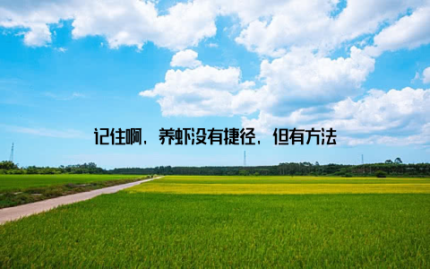 记住啊, 养虾没有捷径, 但有方法