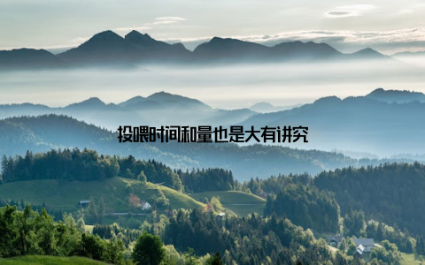 投喂时间和量也是大有讲究