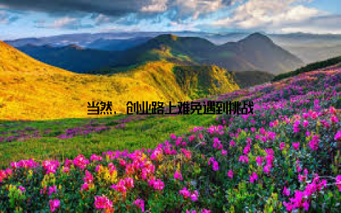 当然, 创业路上难免遇到挑战