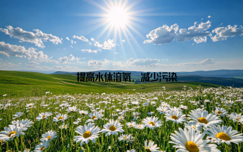 – 提高水体溶氧, 减少污染