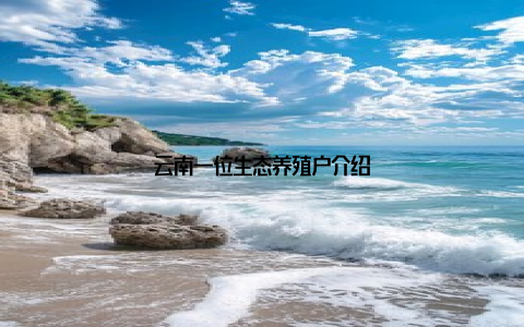 云南一位生态养殖户介绍