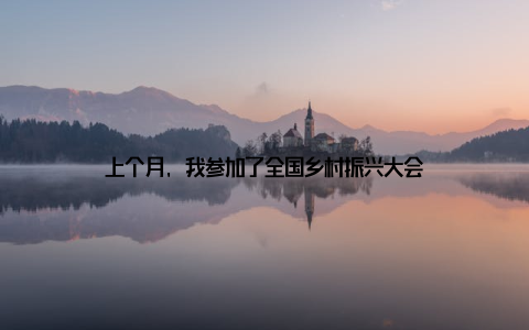 上个月, 我参加了全国乡村振兴大会