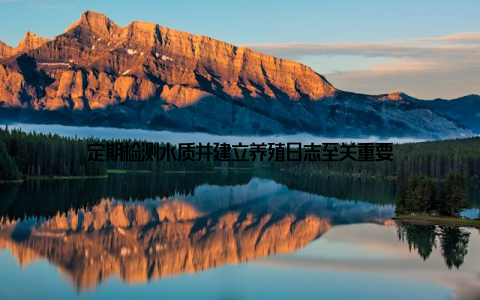 定期检测水质并建立养殖日志至关重要
