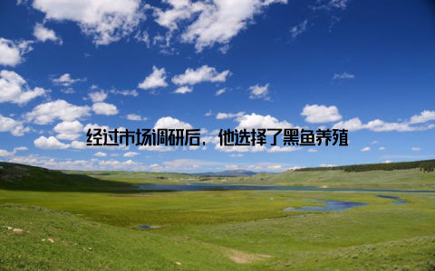 经过市场调研后, 他选择了黑鱼养殖