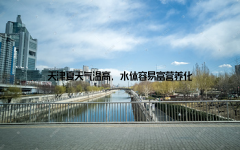 天津夏天气温高, 水体容易富营养化