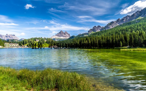 此外, 市场认知和接受度仍需提高