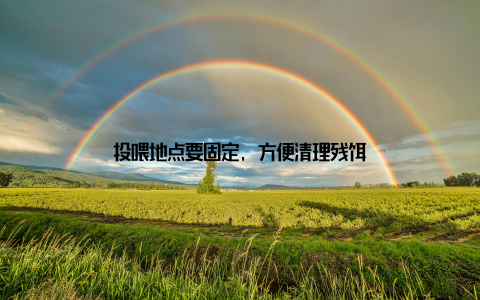 投喂地点要固定, 方便清理残饵