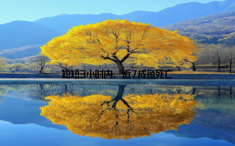 短短3小时内, 近7成鱼死亡