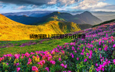 销售策略上可采取多元化渠道