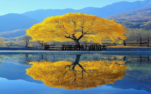 第三, 政策支持力度加大