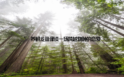 ” 养鲟龙鱼像谈一场跨越物种的恋爱