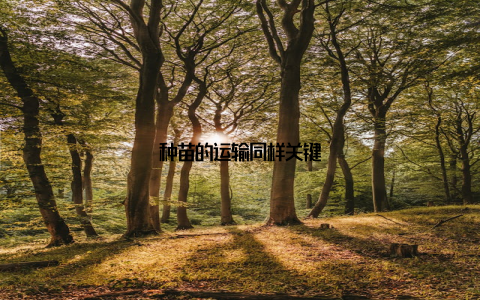 种苗的运输同样关键