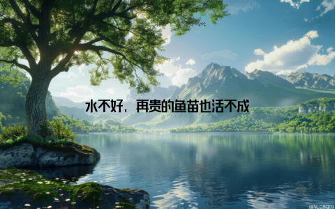 水不好, 再贵的鱼苗也活不成