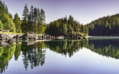 “龙虾越放松, 肉质越紧实