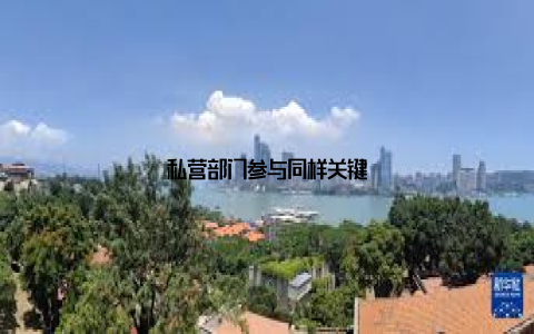 私营部门参与同样关键