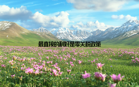 最直接的利好是零关税政策