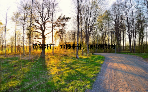 鱼苗死亡、水质恶化、病虫害频发