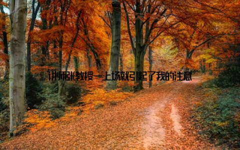 讲师张教授一上场就引起了我的注意