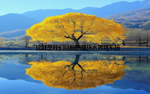 “这就是我们目前的循环水养殖系统