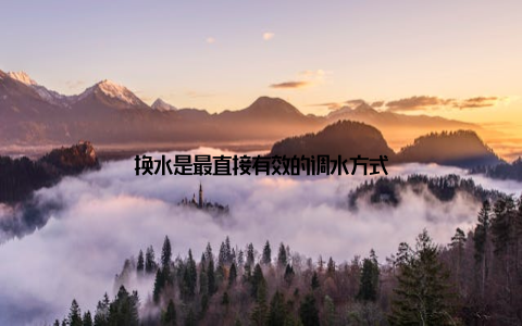 换水是最直接有效的调水方式