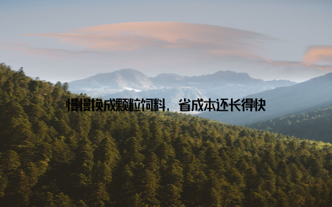 慢慢换成颗粒饲料, 省成本还长得快