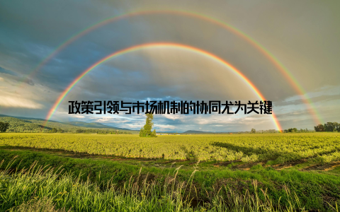政策引领与市场机制的协同尤为关键
