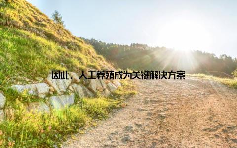 因此, 人工养殖成为关键解决方案