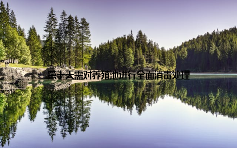 第十天需对养殖池进行全面消毒处理