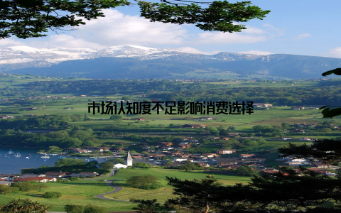 市场认知度不足影响消费选择