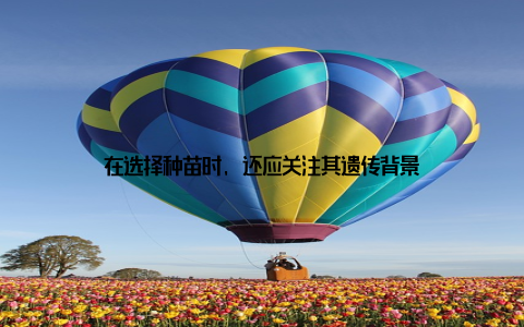 在选择种苗时, 还应关注其遗传背景