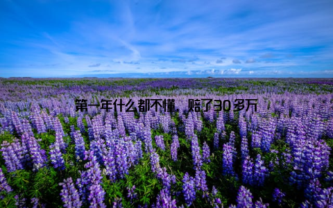 第一年什么都不懂, 赔了30多万