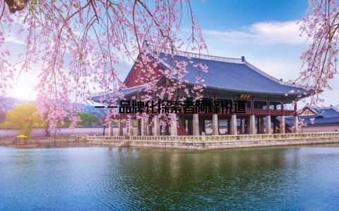 ——品牌化探索者阿峰说道