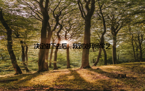 决定做下去后, 我到处拜师学艺