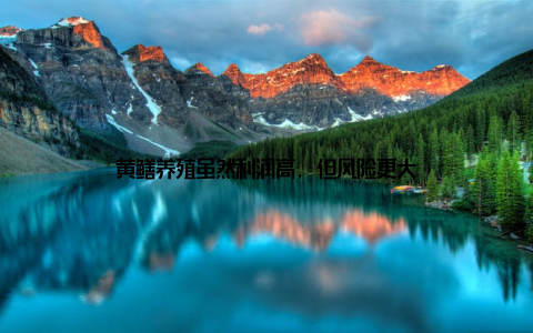 黄鳝养殖虽然利润高, 但风险更大