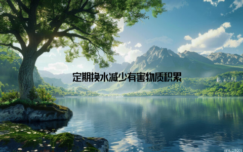 – 定期换水减少有害物质积累